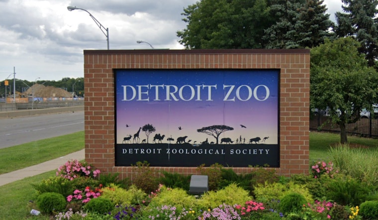 Detroit Zoo and Belle Isle Nature Center Shut Due to Arctic Chill in Southeast Michigan