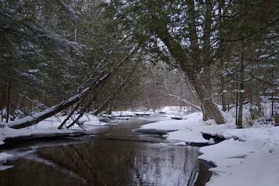 DNR Hosts Trout Habitat Management Talk in Shawano Wisconsin