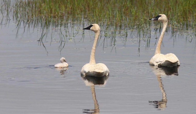 Double Your Impact: Wisconsin Department of Natural Resources Urges Tax Donors to Support Endangered Resources Fund