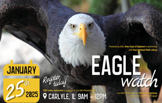 Eagle-Watching Season Takes Flight in Illinois State Parks with IDNR Events