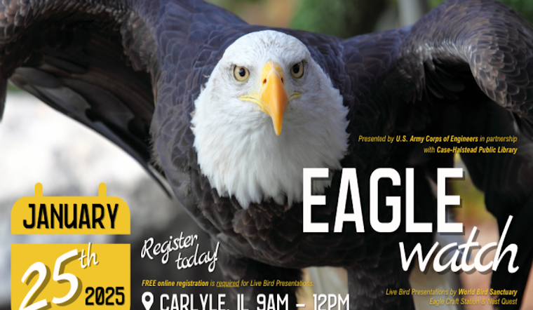 Eagle-Watching Season Takes Flight in Illinois State Parks with IDNR Events