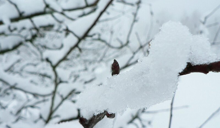 East Tennessee Braces for Snowfall and Arctic Chill; NWS Morristown Issues Weather Advisory