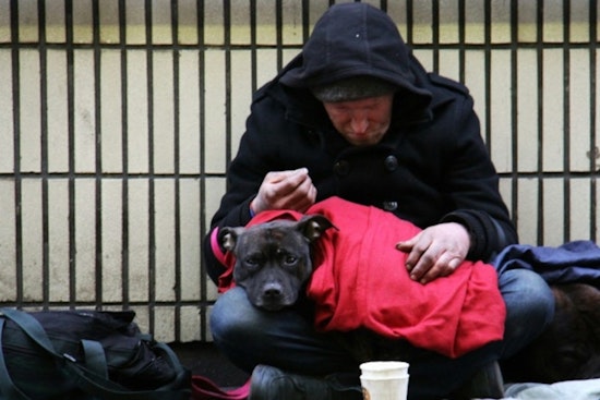 ECHO Seeks Volunteers for Austin Homelessness Count Amid Rising Housing Crisis