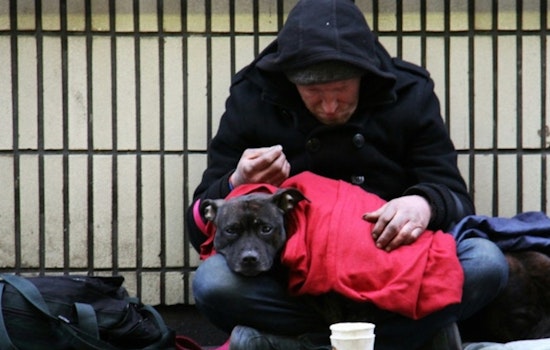 ECHO Seeks Volunteers for Austin Homelessness Count Amid Rising Housing Crisis
