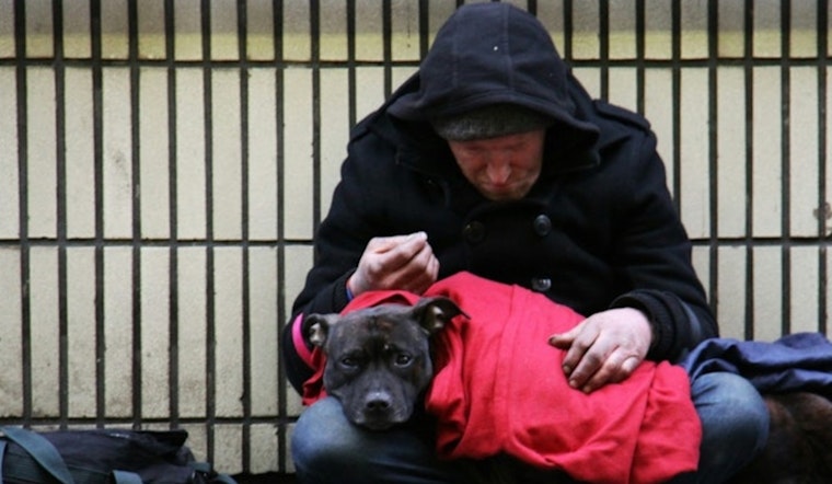 ECHO Seeks Volunteers for Austin Homelessness Count Amid Rising Housing Crisis