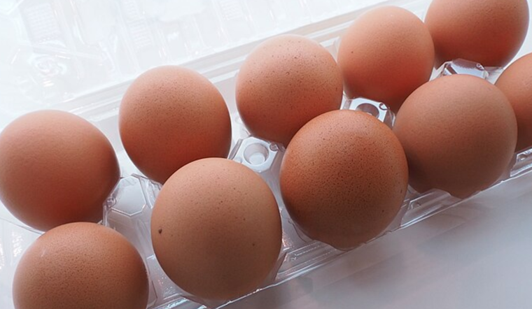 Egg Prices Crack Budgets as California Businesses Scramble Amidst Historic Shortage