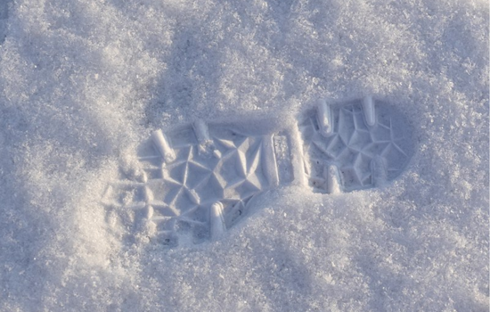 Elderly Cincinnati Man Dies from Suspected Hypothermia After Severe Winter Storm