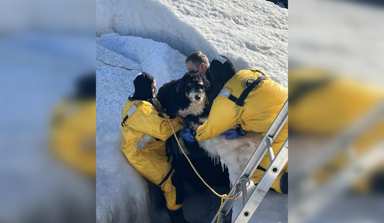 Evanston Officials Close Dog Beach Amid Safety Concerns After Ice Shelf Rescues