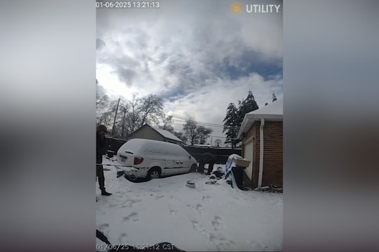 Evansville Police Involved in Dog's Death During Neglect Case, Owner Cited Amid Ongoing Investigation