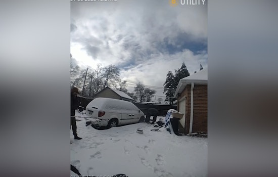 Evansville Police Involved in Dog's Death During Neglect Case, Owner Cited Amid Ongoing Investigation