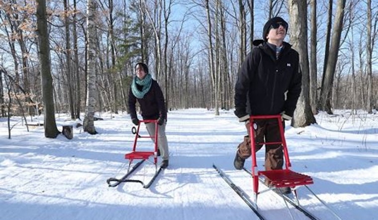 Experience Scandinavian Wintersport, Kicksledding Adventure at Cleary Lake Regional Park
