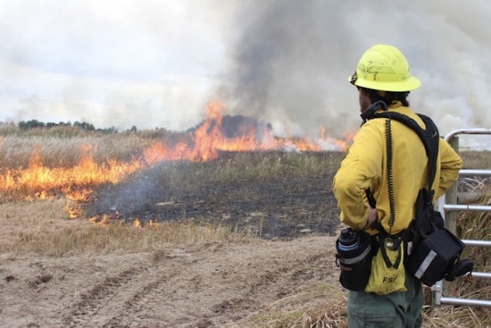 Explore Wildland Firefighting at Hillsborough County's Prescribed Fire Fest in Plant City