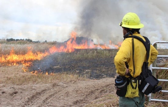 Explore Wildland Firefighting at Hillsborough County's Prescribed Fire Fest in Plant City