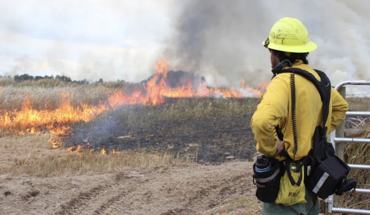Explore Wildland Firefighting at Hillsborough County's Prescribed Fire Fest in Plant City
