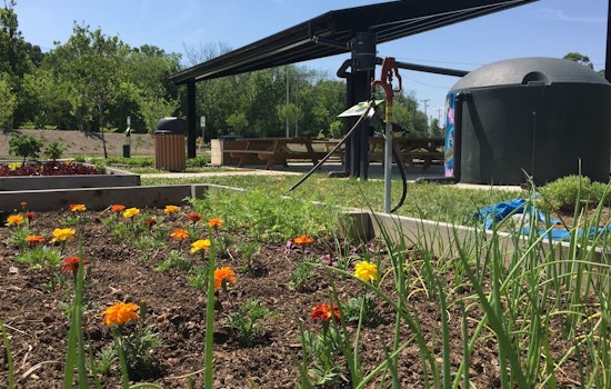 Farragut's Outdoor Classroom Welcomes Gardeners, Reserve Your Plot Today