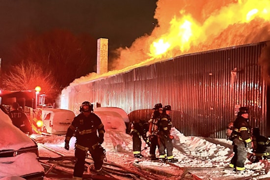 Fatal Fire at Indianapolis Auto Shop Claims Lives of Dog and Puppies After Heating Mishap Sparks Accidental Blaze