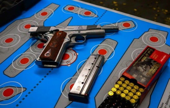 Firearm Interceptions Decline at Milwaukee's Mitchell International Airport and Across Wisconsin, TSA Reports