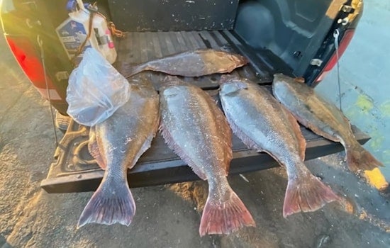 Fisherman's False Wall Hid Thousands of Pounds of Illegal Fish at Pier 45 in San Francisco, Says CDFW