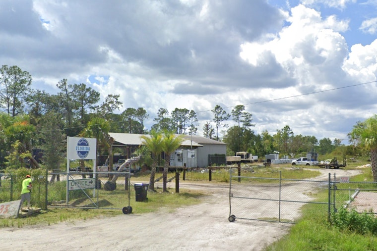 Florida's Tree Surgeons Accused of Operating Without Permits in Atlantic Beach