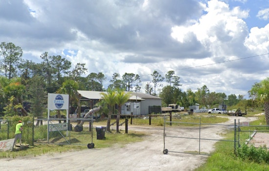 Florida's Tree Surgeons Accused of Operating Without Permits in Atlantic Beach