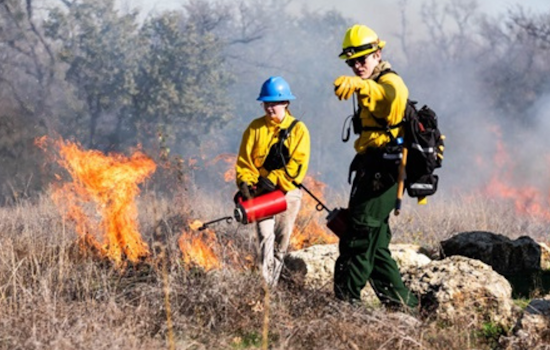 Fort Worth's Tandy Hills Natural Area Hosts Inaugural Prescribed Burn to Revitalize Texas Prairie Ecosystem