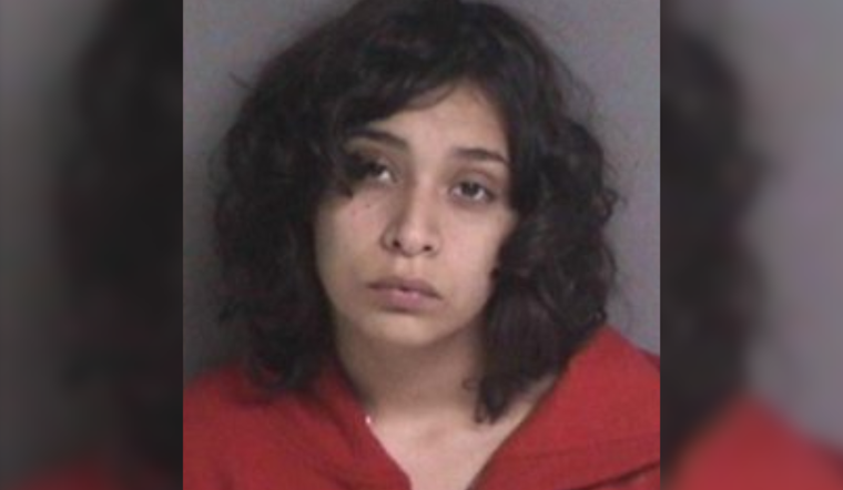 Fremont Police Issue Alert for Missing Mother and Toddler Last Seen in Beige Motorhome