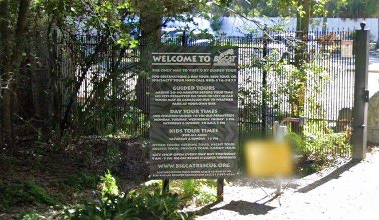 From Refuge to Residences as Big Cat Rescue Sells Majority of Hillsborough Property for $19.5M to Make Way for Townhomes