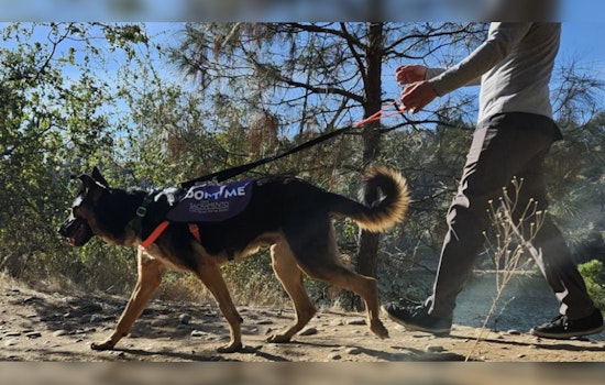 Front Street Animal Shelter in Sacramento Revives 'Doggie Day Out' Program to Boost Canine Adoption Chances