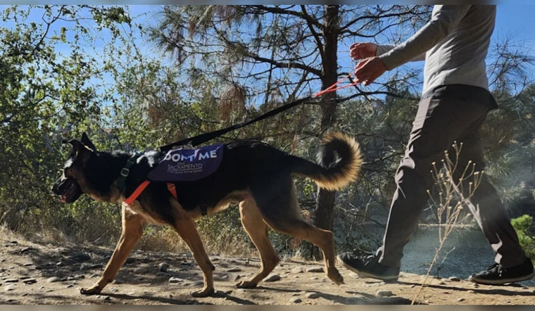 Front Street Animal Shelter in Sacramento Revives 'Doggie Day Out' Program to Boost Canine Adoption Chances