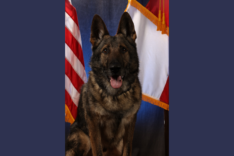Garland Police Department Honors the Legacy of Valiant K9 Officer Diesel After His Passing
