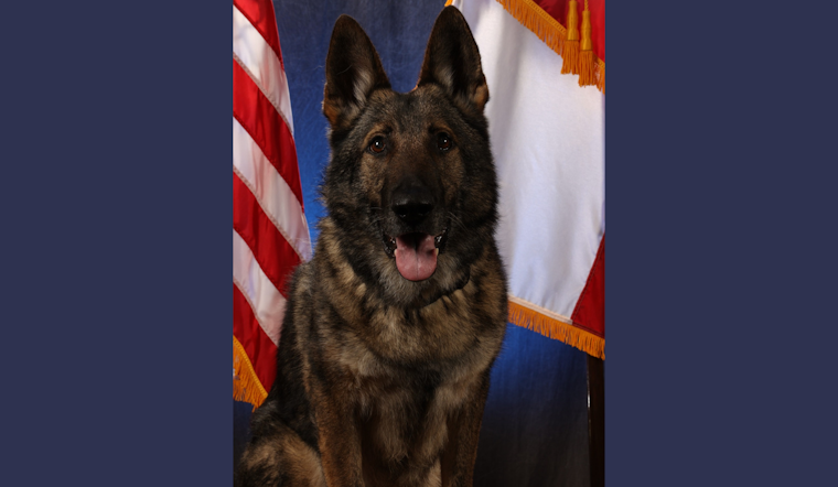 Garland Police Department Honors the Legacy of Valiant K9 Officer Diesel After His Passing