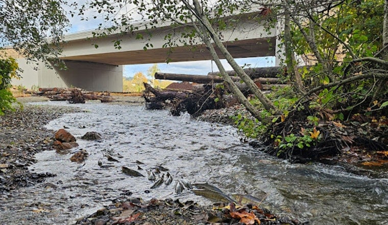 Gig Harbor Gleams with New Fish Passages: WSDOT's Infrastructure Overhaul Aids Salmon Runs