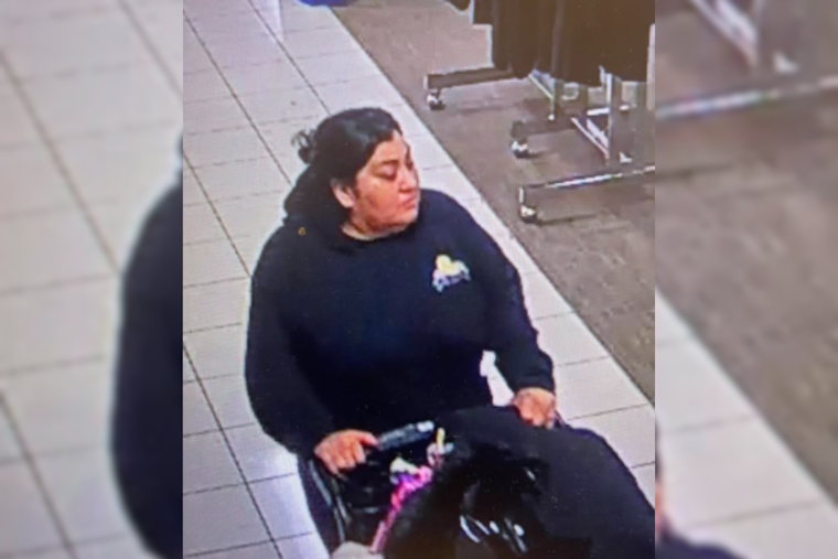 Gilroy Police Seek Public's Help to Identify Suspects in Theft and Fraudulent Shopping Spree