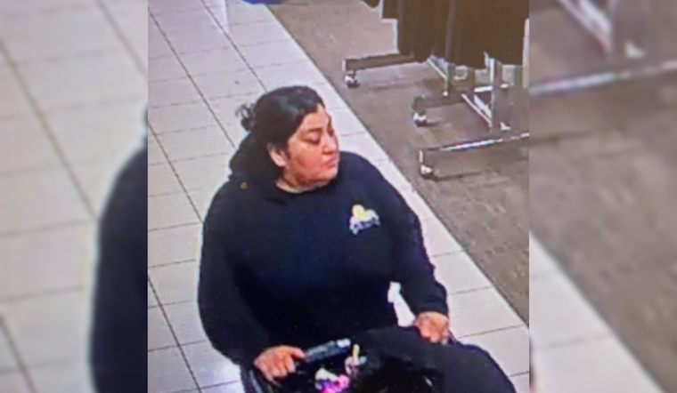 Gilroy Police Seek Public's Help to Identify Suspects in Theft and Fraudulent Shopping Spree