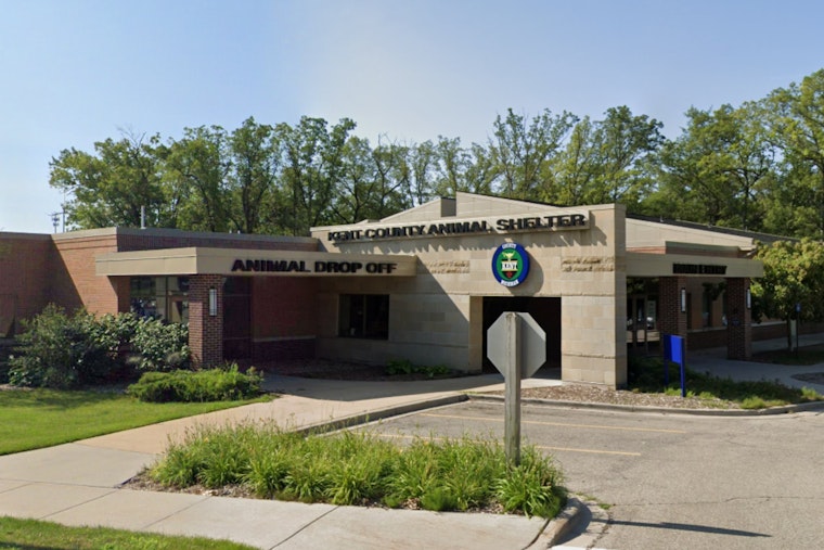 Grand Rapids' Kent County Animal Shelter Relocates Temporarily Amid Renovations, Calls for Community Support