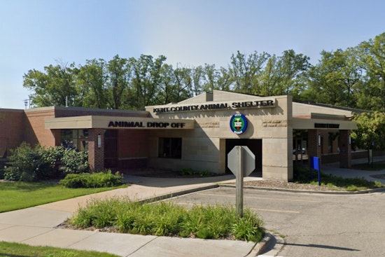 Grand Rapids' Kent County Animal Shelter Relocates Temporarily Amid Renovations, Calls for Community Support