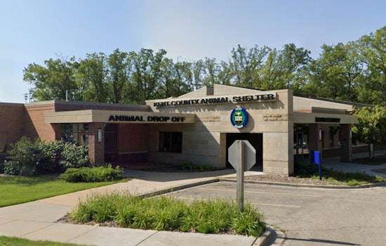 Grand Rapids' Kent County Animal Shelter Relocates Temporarily Amid Renovations, Calls for Community Support