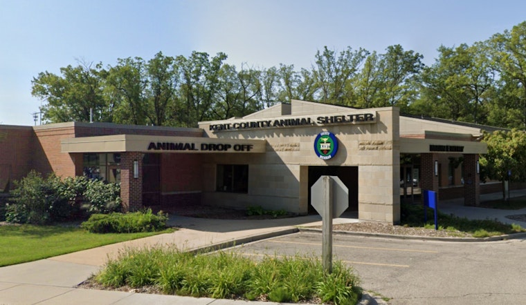 Grand Rapids' Kent County Animal Shelter Relocates Temporarily Amid Renovations, Calls for Community Support