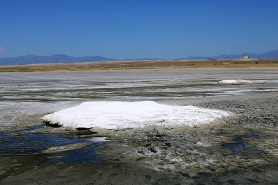 Great Salt Lake in Peril: New Report Calls for Increased Action to Prevent Ecological Disaster