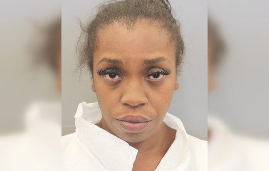Harris County Mother Charged with Child Endangerment After Infants Found in Freezing Weather