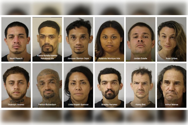 Hawai'i Police Detain Twelve in Puna District Warrant Sweep, Seek Community Help to Capture More Fugitives