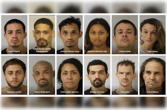 Hawai'i Police Detain Twelve in Puna District Warrant Sweep, Seek Community Help to Capture More Fugitives