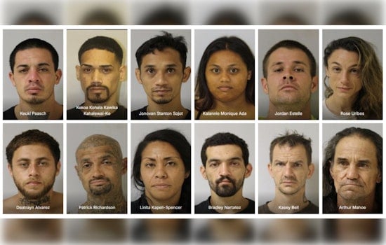 Hawai'i Police Detain Twelve in Puna District Warrant Sweep, Seek Community Help to Capture More Fugitives