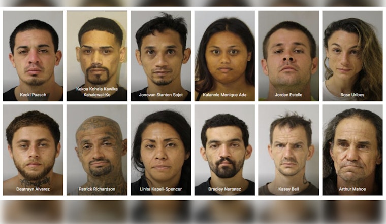 Hawai'i Police Detain Twelve in Puna District Warrant Sweep, Seek Community Help to Capture More Fugitives
