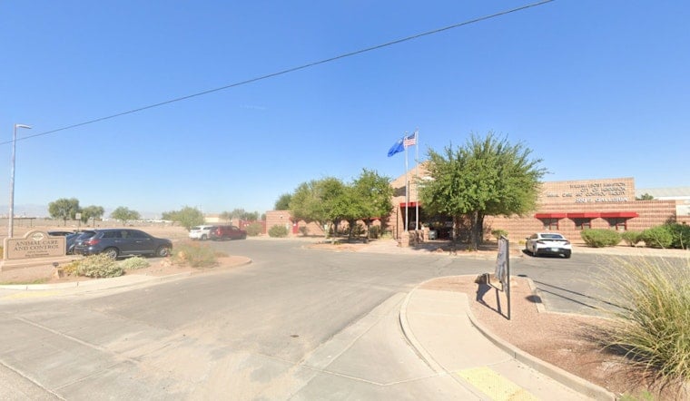 Henderson Launches Fostering Program for Shelter Dogs in Need of Homes and Care