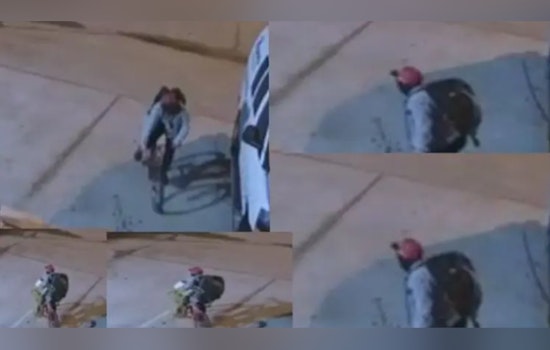 Henry County Police Seek Public's Aid to Identify Suspects in Separate Thefts in Stockbridge and Ellenwood