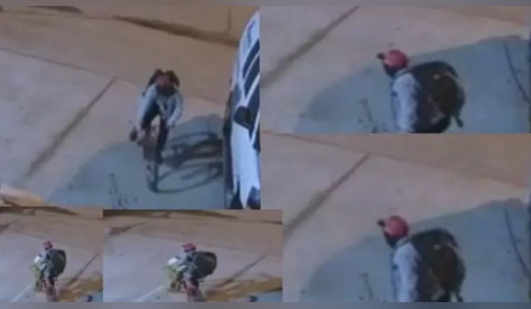 Henry County Police Seek Public's Aid to Identify Suspects in Separate Thefts in Stockbridge and Ellenwood