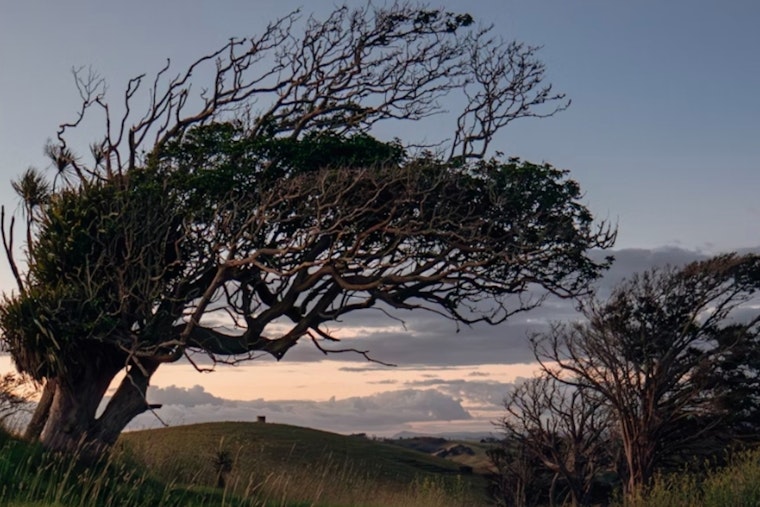 High Wind Advisory Issued for Milwaukee Sheboygan and Kenosha with Precautions Urged for Residents