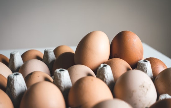 Honolulu Egg Prices Soar Amid Avian Influenza Outbreak Impacting Mainland Supplies