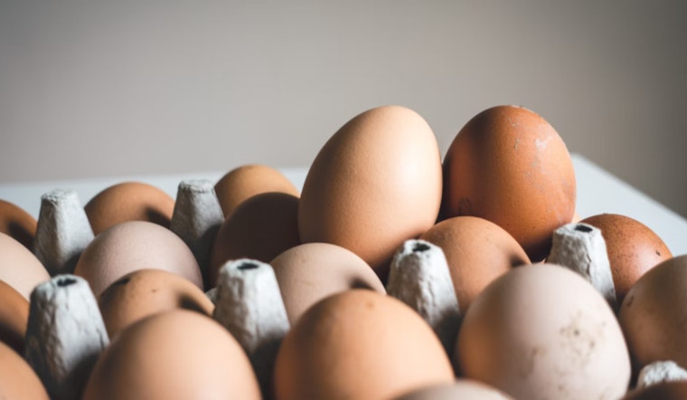 Honolulu Egg Prices Soar Amid Avian Influenza Outbreak Impacting Mainland Supplies